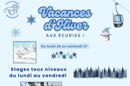 Animation & stages d