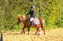 Retour sur 2 semaines de concours...