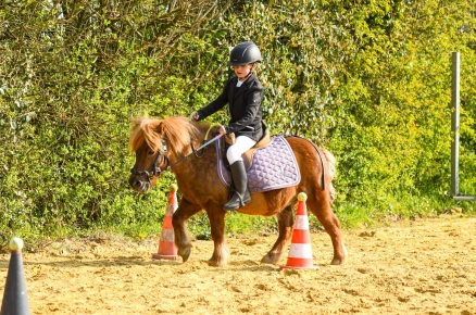 Retour sur 2 semaines de concours aux écuries !